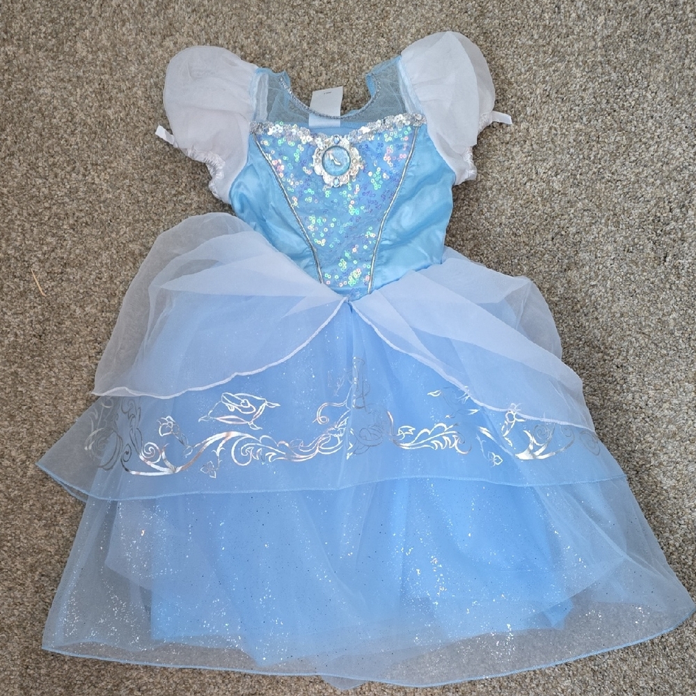 Disney Sparkling Blue and White Princess Costume